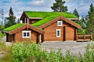 A brown log cabin, with three peaks of different heights and orientations has a sod roof.